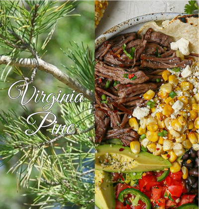 Virginia Pine Collection