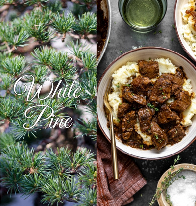 White Pine Collection